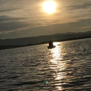 Meet your Posher, Sadie